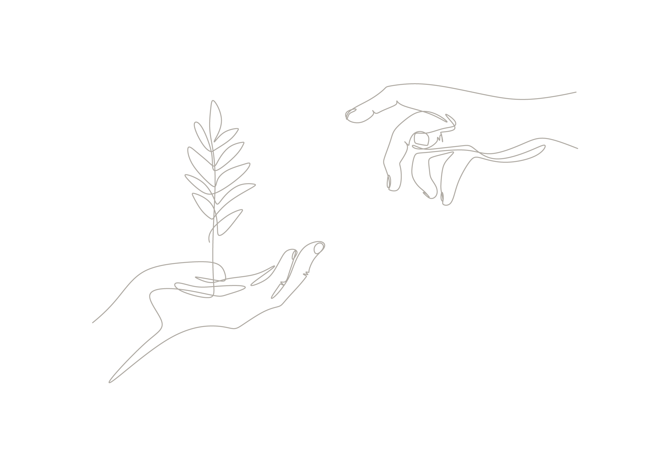 Seedlings grow in the hands of trees.